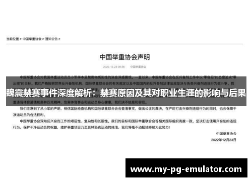 魏震禁赛事件深度解析：禁赛原因及其对职业生涯的影响与后果
